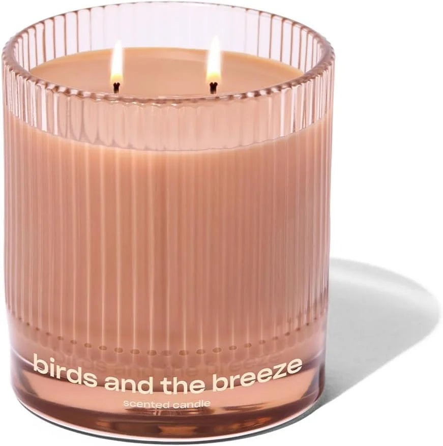 Birds and The Breeze Luxury Scented Candle by Snif, Light and Airy Scent, 50+ Hours, 100% Cotton Fiber Wicks, Soy Wax Blend, Non-Toxic, Vegan, 8.5 oz…