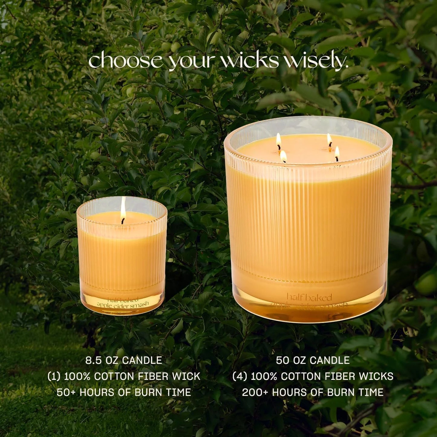 Half Baked Apple Cider Smash Scented Candle by Snif, 8.5oz